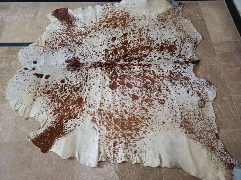 Cowhide Rugs (skins) 6