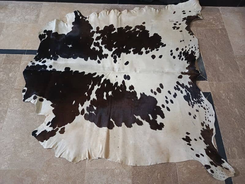 Cowhide Rugs (skins) 7