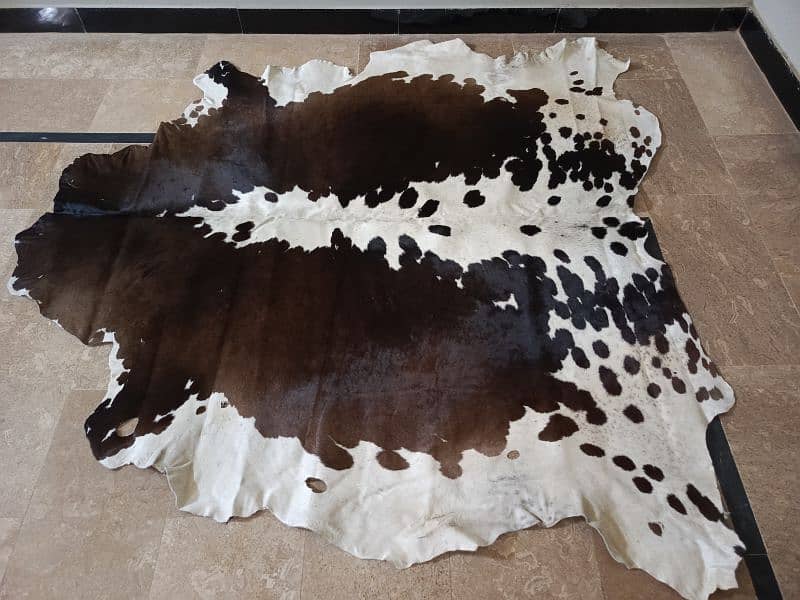 Cowhide Rugs 5