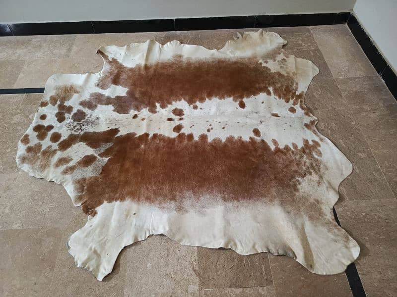 Cowhide Rugs 6