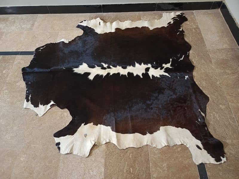 Cowhide Rugs 8