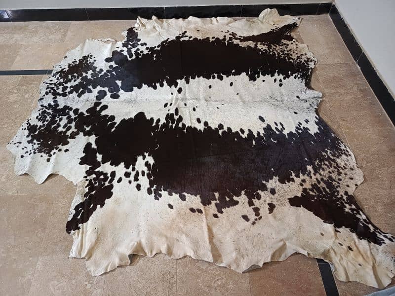 Cowhide Rugs 9