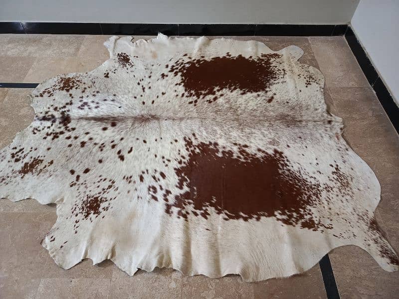 Cowhide Rugs 11