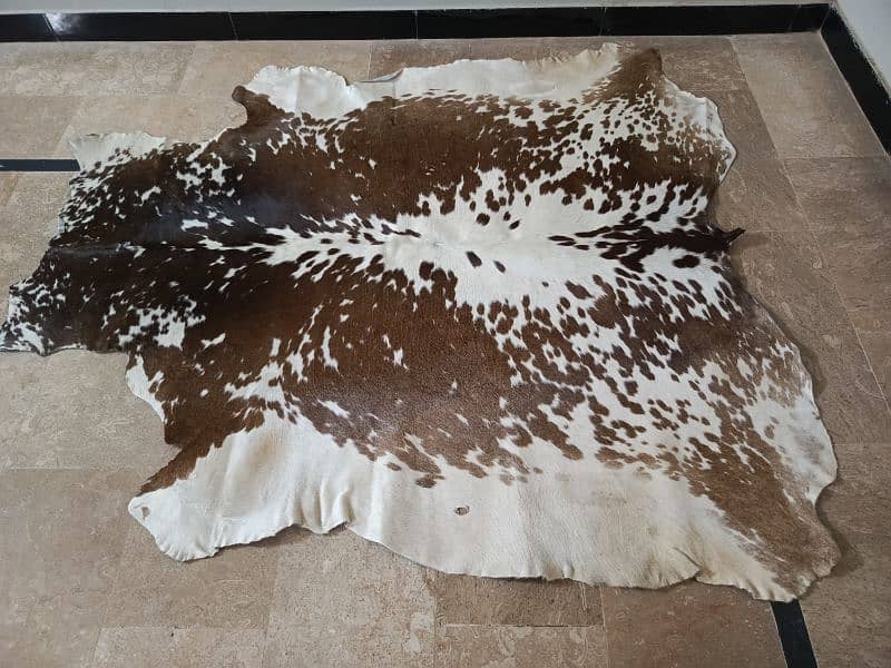 Cowhide Rugs 13