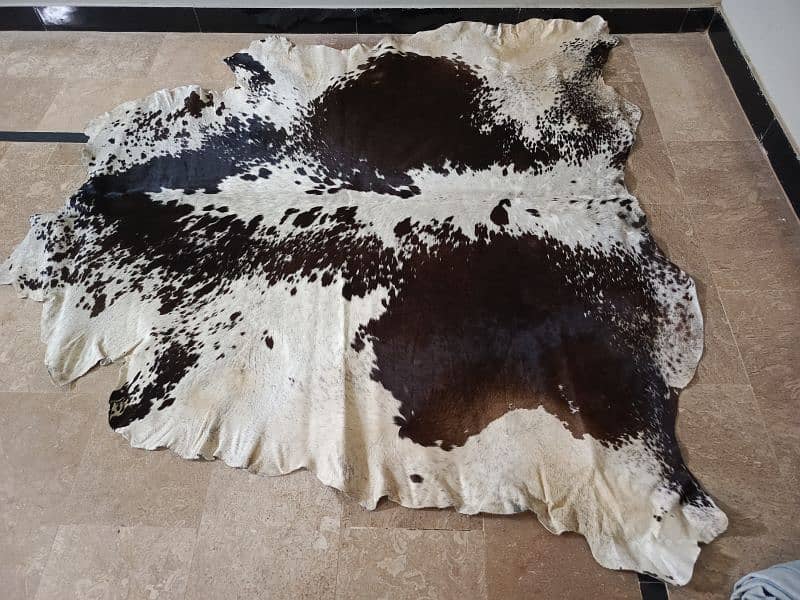 Cowhide Rugs 15