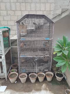 Bird Cage