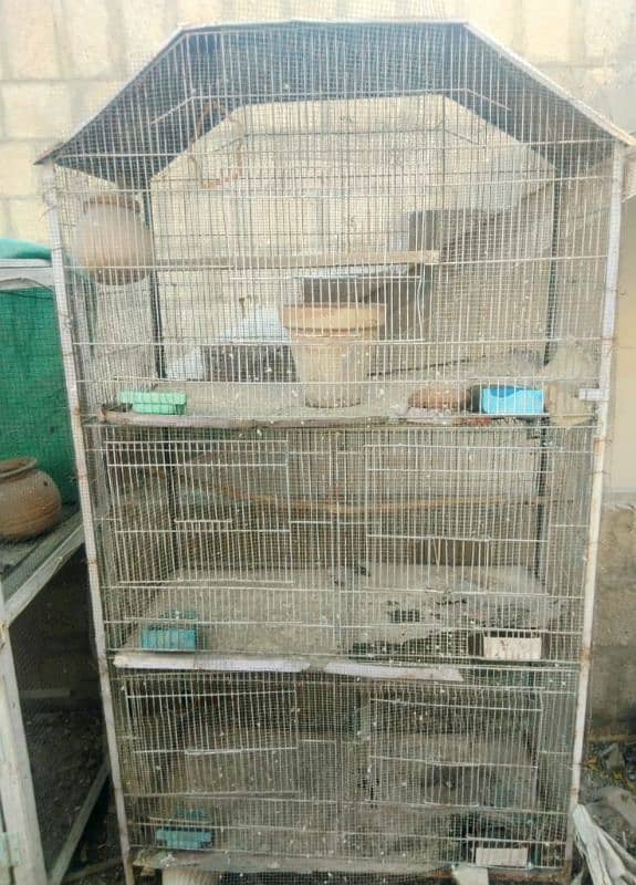 Bird Cage 4