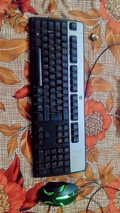 Hp keyboard and Rgb mouse