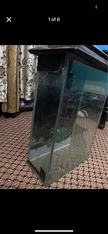 Fish aquarium small size 0