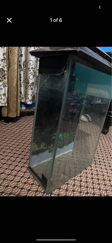 Fish aquarium small size 1