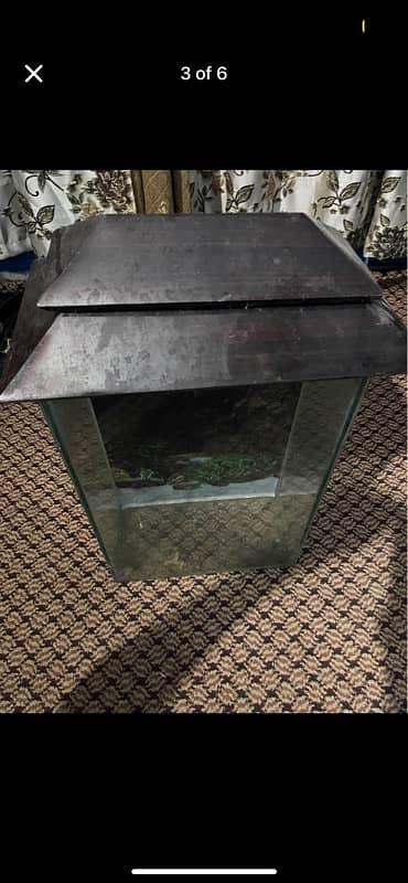 Fish aquarium small size 3