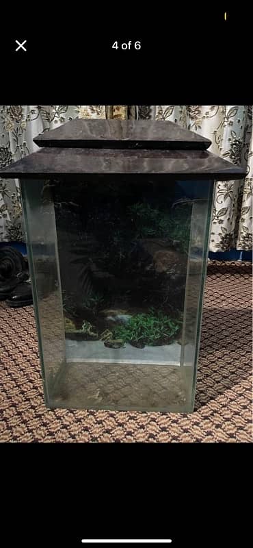 Fish aquarium small size 4