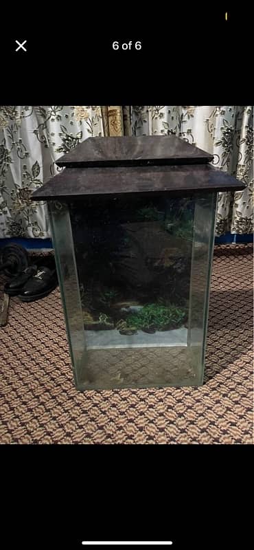 Fish aquarium small size 6