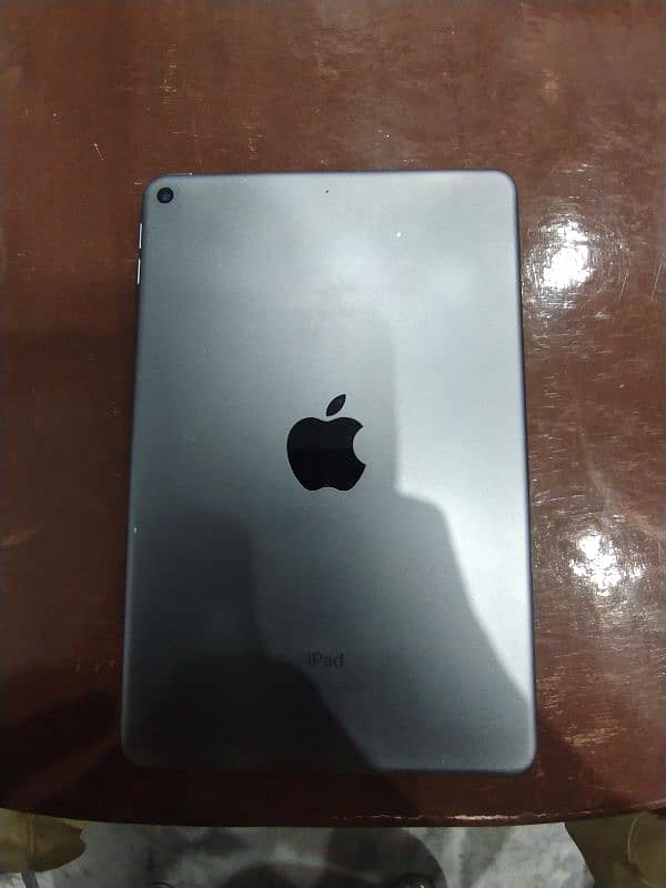 i pad mini 5 1