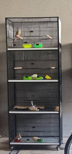 birds 4 portion cage