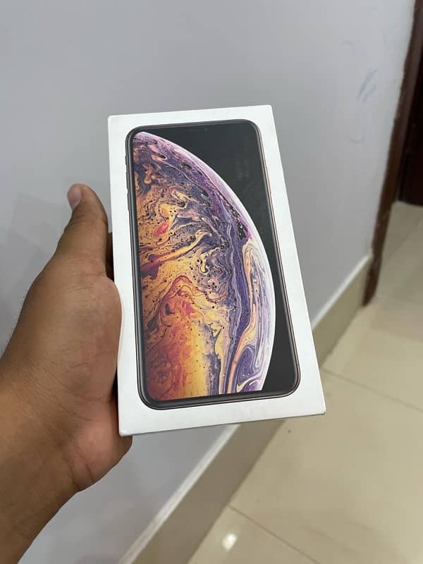 iPhone XSmax golden color 1