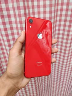 IPHONE XR Approve