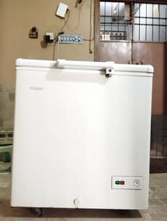 Haier One Door Freezer