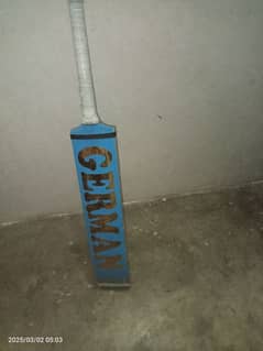 Cricket