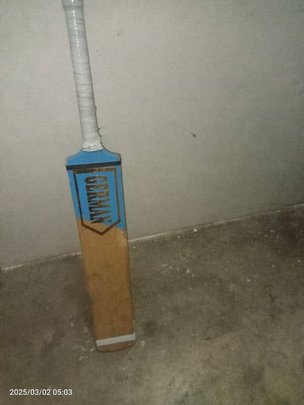 Cricket 1