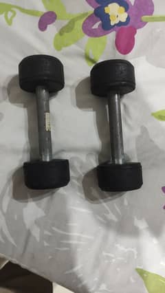 Weights, Rod, Dumbbell, Twister, Waist Trimmer, Gym Ball, Loop Band