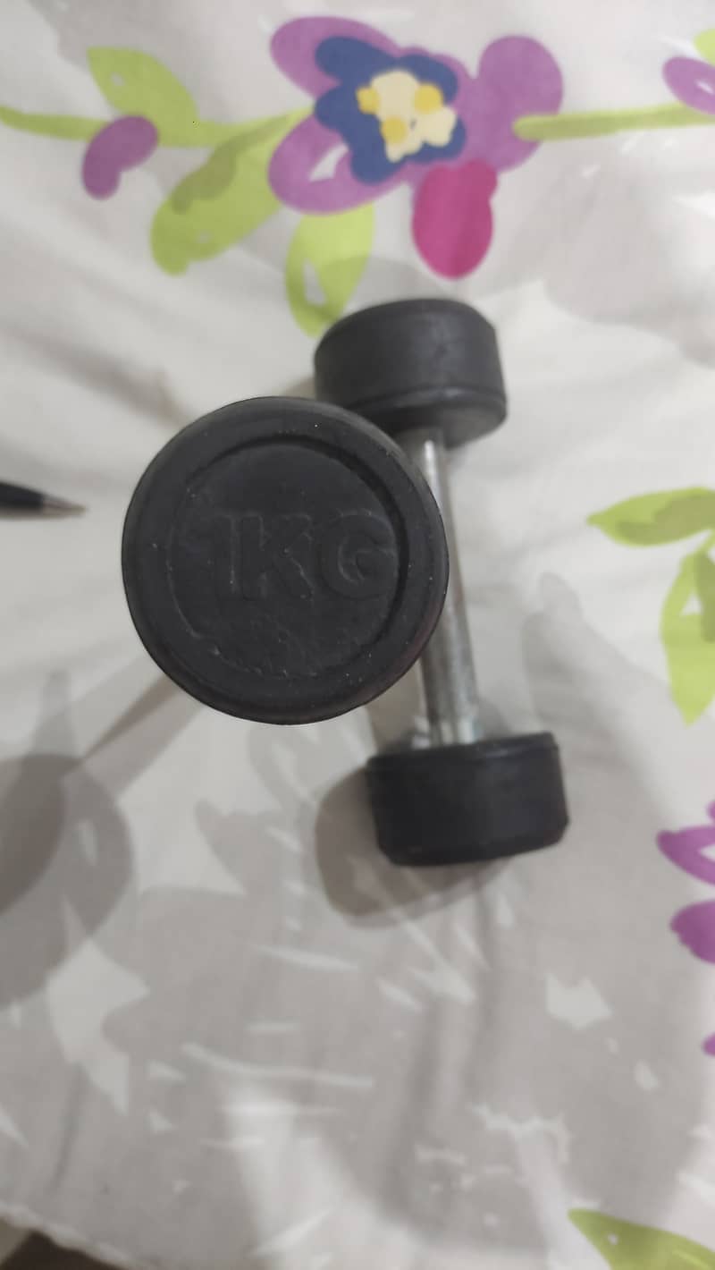 Weights, Rod, Dumbbell, Twister, Waist Trimmer, Gym Ball, Loop Band 15