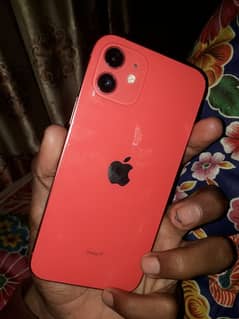 iphone 12 Not Pta