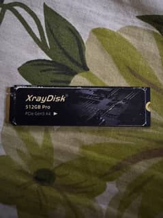 Xraydisk Nvme 512GB Pro