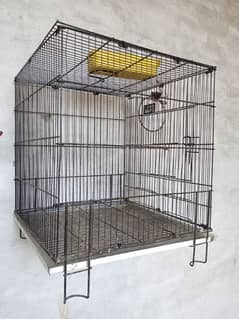 Parrot Cages