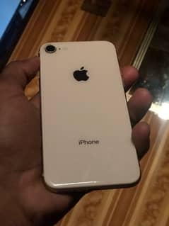 iphone 8 64gb pta approve