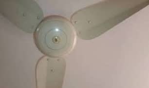 1 ceiling fan