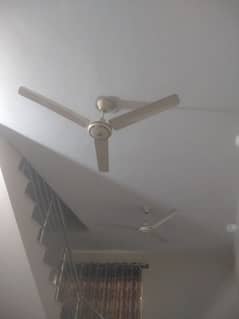 pak Fan cieling fan