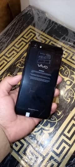 vivo