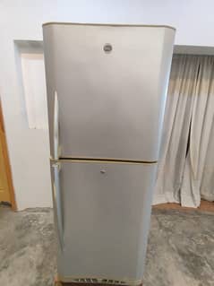 Pel Company Fridge for Sale