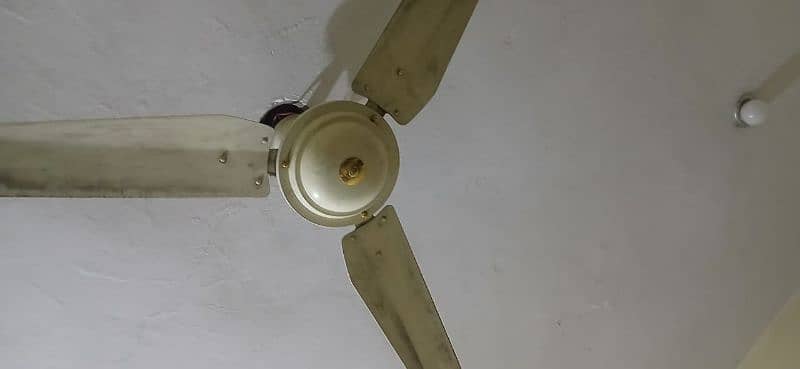 2 Ceiling fans 2