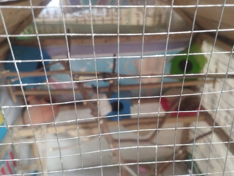 i want sell my parrot cage size 4.3 approx 2