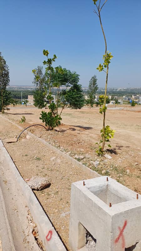 Five marla residential plot for sale in behria 8 3