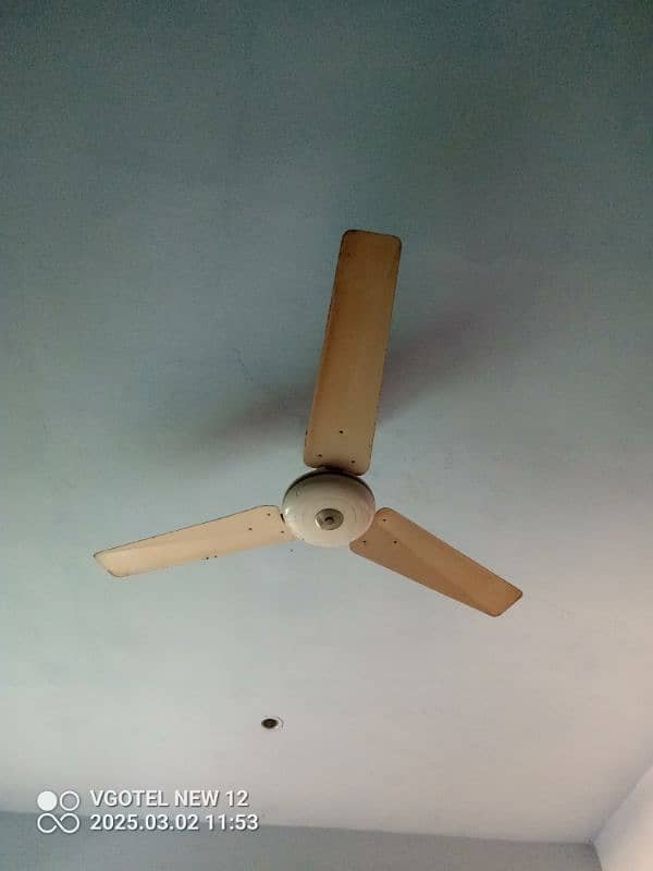 Fan for sale 1