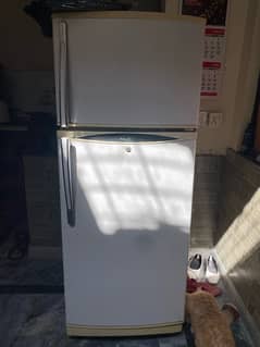 waves medium size fridge