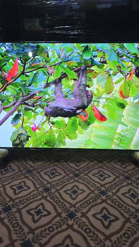 55 INCH LG OLED TV 4K SMART WIFI 2160 3840 9