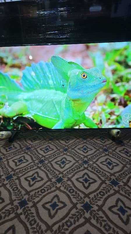 55 INCH LG OLED TV 4K SMART WIFI 2160 3840 12