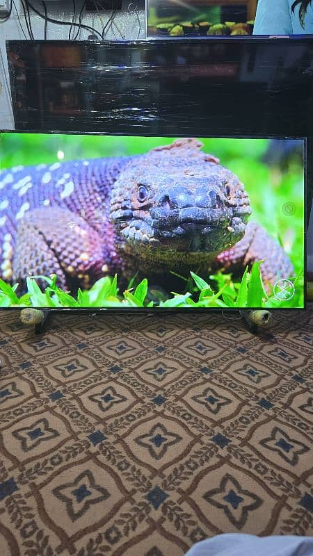 55 INCH LG OLED TV 4K SMART WIFI 2160 3840 15