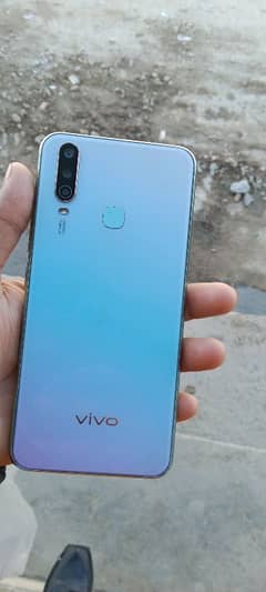 vivo