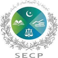 Court Matters, Court marriage, Lawyers Services, Tax matters SECP 7