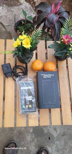 BlackBerry Motion for Sale