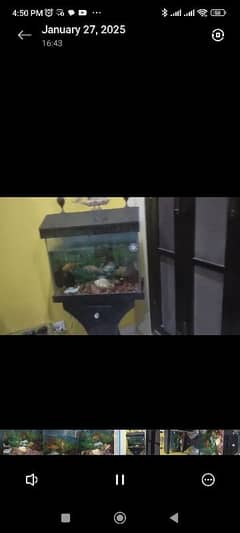 Fish Aquarium