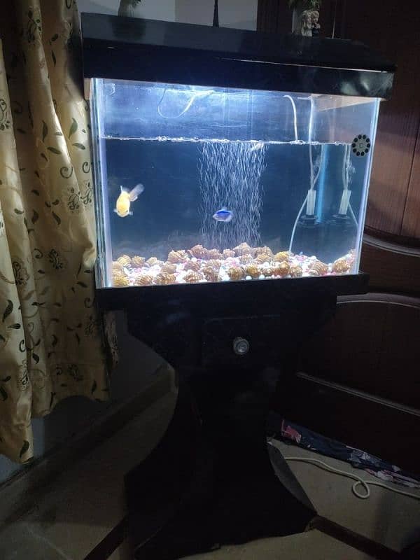 Fish Aquarium 2