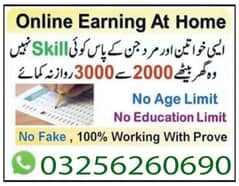 Boys/Girls Online job available,Part time/Data Entry/Typing/Assignment