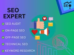 Seo expert required