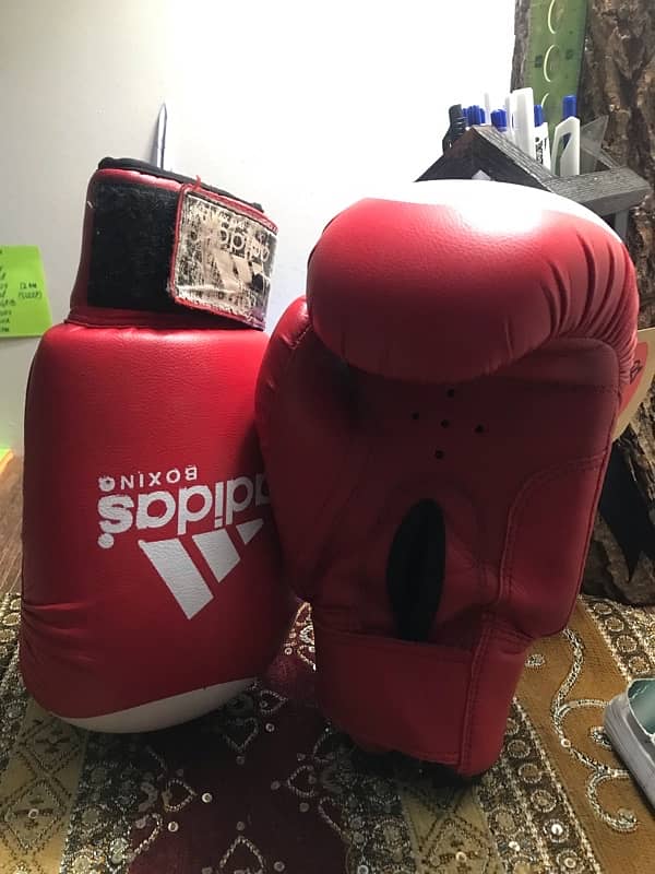 Boxing gloves 0